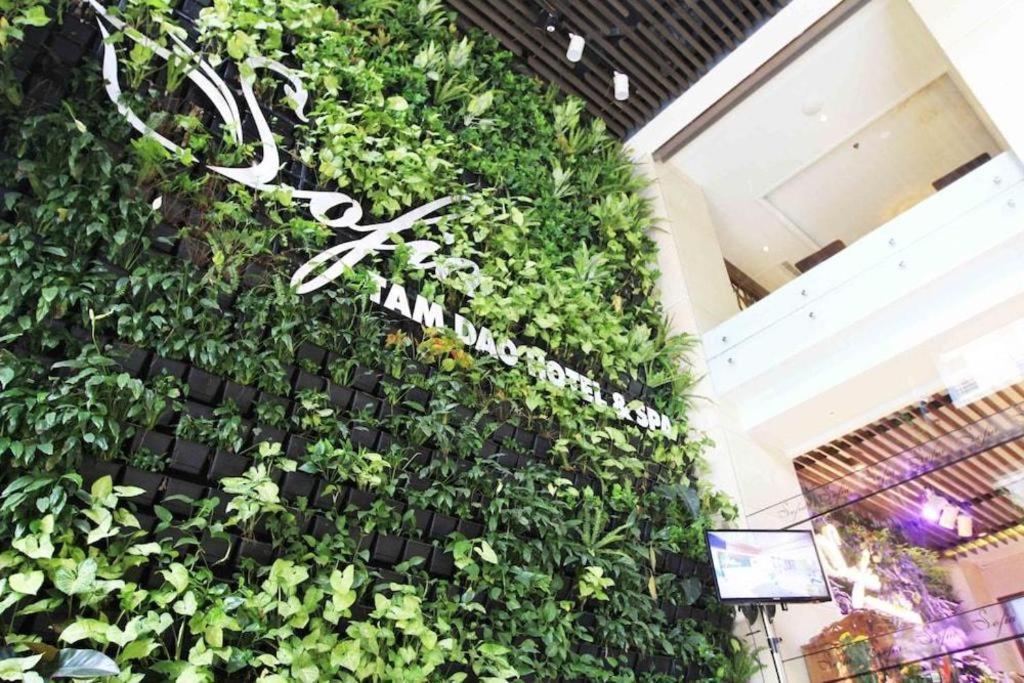 Thang Loi Tam Dao Hotel ภายนอก รูปภาพ